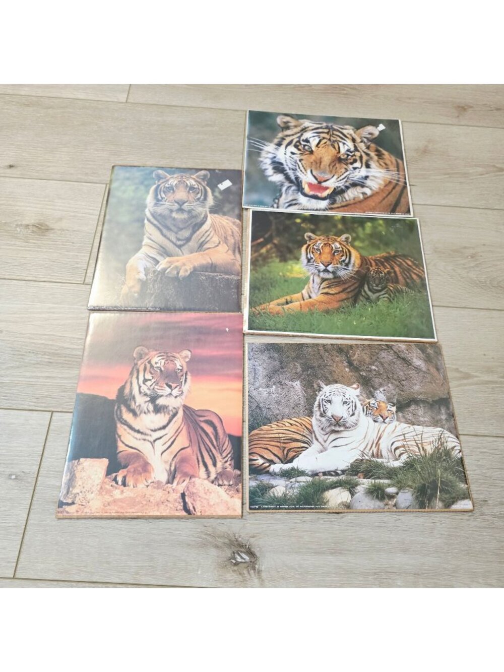 5 Vtg Mix Majestic Safari Wildlife Bengal White Tiger Wall Art Poster Prints